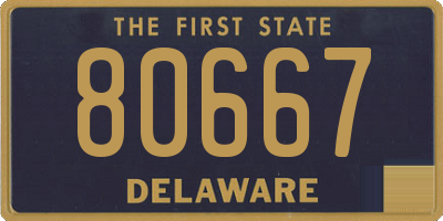 DE license plate 80667