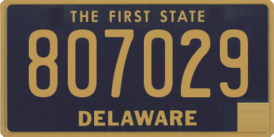DE license plate 807029