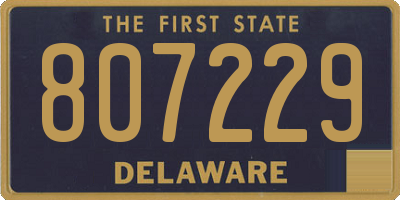 DE license plate 807229