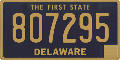 DE license plate 807295