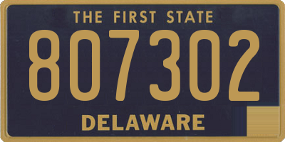 DE license plate 807302