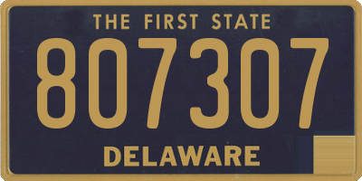 DE license plate 807307