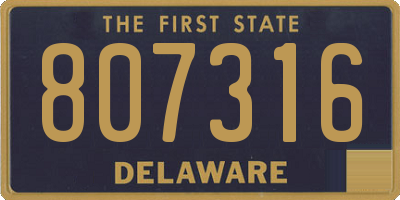 DE license plate 807316
