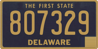 DE license plate 807329
