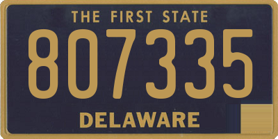 DE license plate 807335