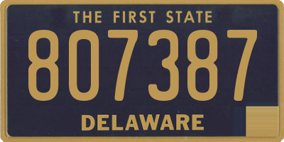DE license plate 807387