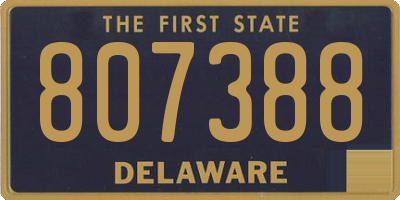DE license plate 807388