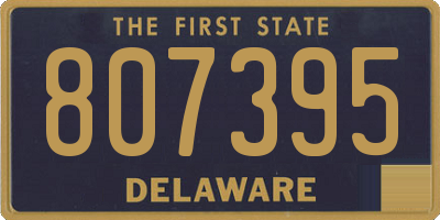 DE license plate 807395