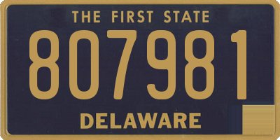 DE license plate 807981