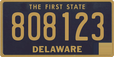 DE license plate 808123