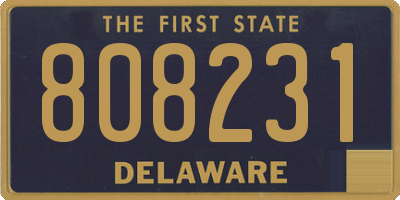 DE license plate 808231