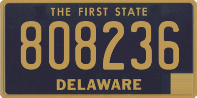 DE license plate 808236