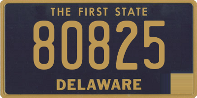 DE license plate 80825