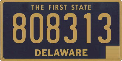 DE license plate 808313