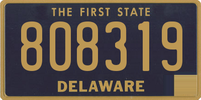 DE license plate 808319