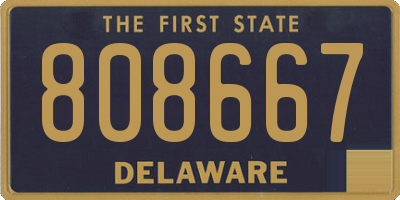 DE license plate 808667