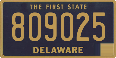 DE license plate 809025