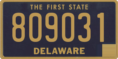 DE license plate 809031