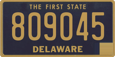 DE license plate 809045