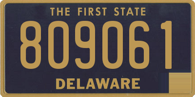 DE license plate 809061