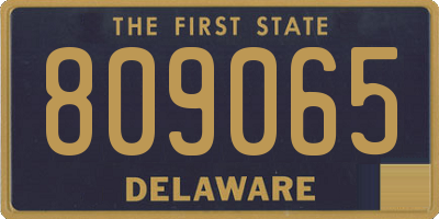 DE license plate 809065