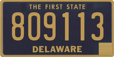 DE license plate 809113