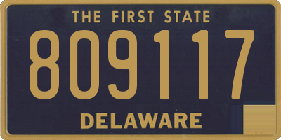DE license plate 809117
