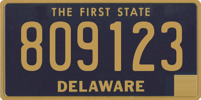 DE license plate 809123