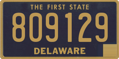 DE license plate 809129