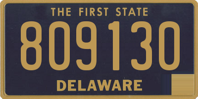 DE license plate 809130
