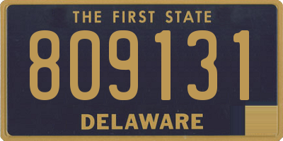 DE license plate 809131