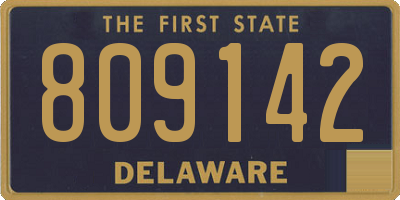 DE license plate 809142