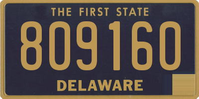 DE license plate 809160
