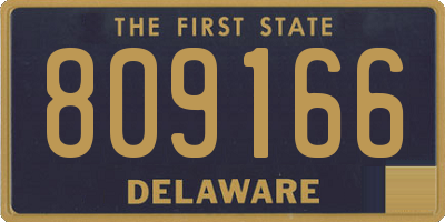 DE license plate 809166