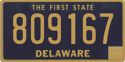 DE license plate 809167