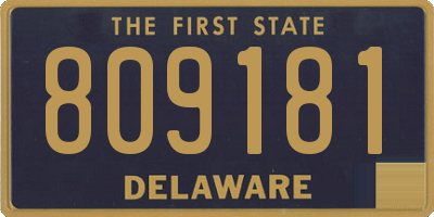 DE license plate 809181