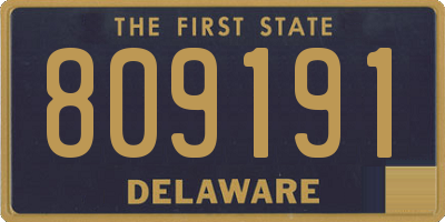 DE license plate 809191