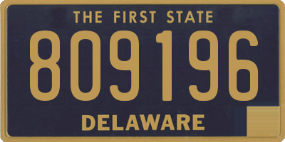 DE license plate 809196