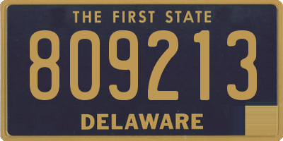 DE license plate 809213