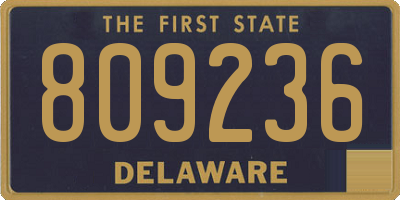 DE license plate 809236