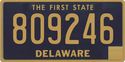 DE license plate 809246