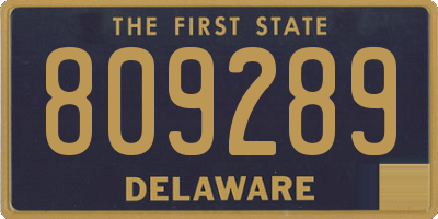 DE license plate 809289