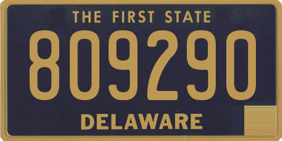 DE license plate 809290