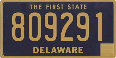 DE license plate 809291