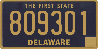 DE license plate 809301