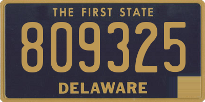 DE license plate 809325