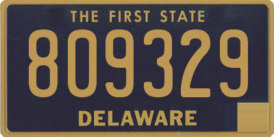 DE license plate 809329