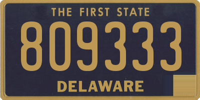DE license plate 809333