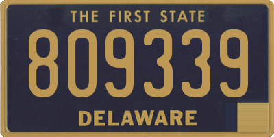 DE license plate 809339