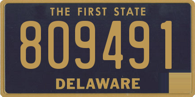 DE license plate 809491